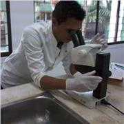 Clases particulares economicas primaria y secundaria